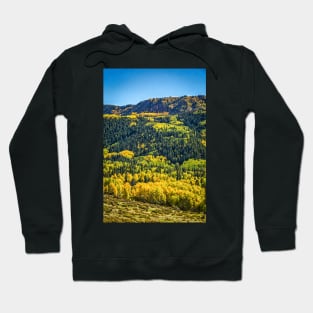 Cumbres and Toltec Narrow Gauge Railroad Hoodie